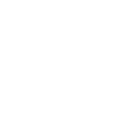 /img/logo/alraw.webp