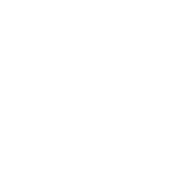 /img/logo/delhaize.webp
